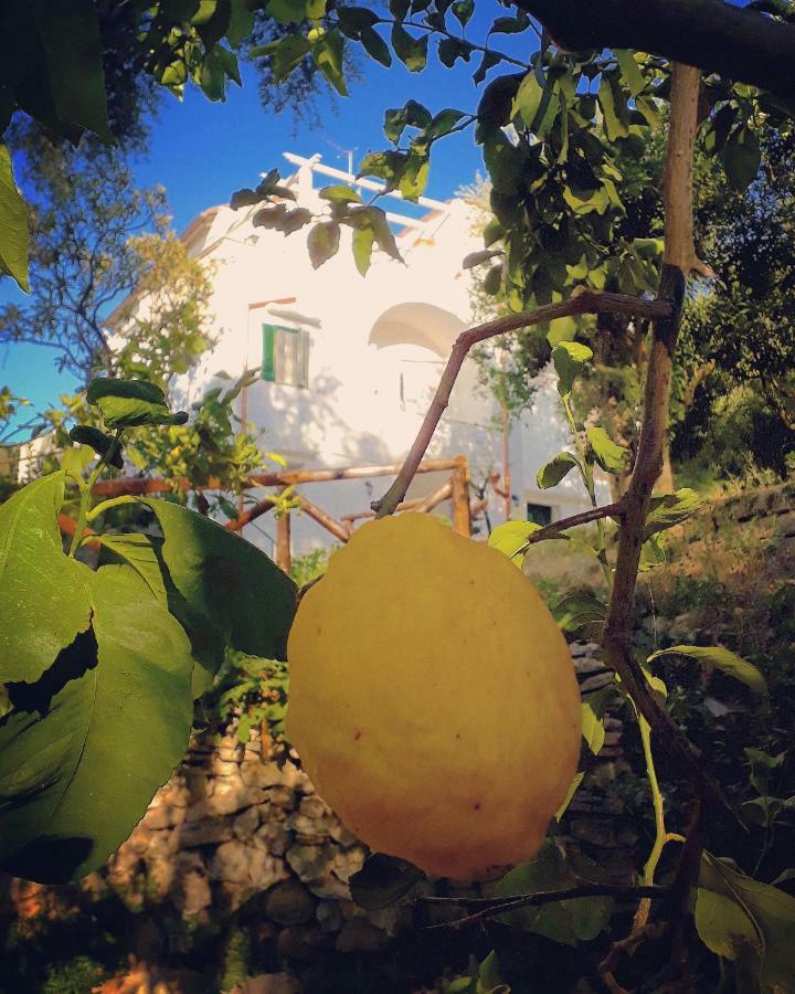 Villa Beatrice Sorrento Buitenkant foto